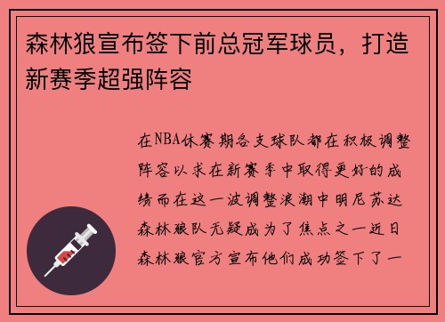 森林狼宣布签下前总冠军球员，打造新赛季超强阵容