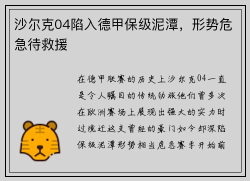 沙尔克04陷入德甲保级泥潭，形势危急待救援