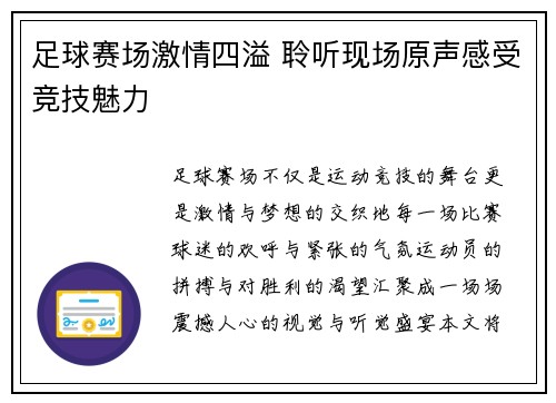 足球赛场激情四溢 聆听现场原声感受竞技魅力