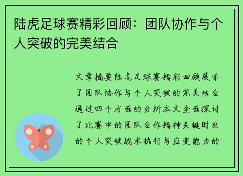 陆虎足球赛精彩回顾：团队协作与个人突破的完美结合