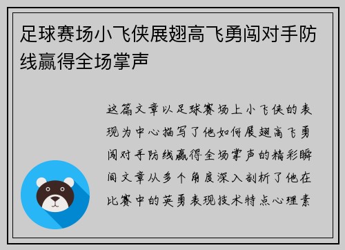 足球赛场小飞侠展翅高飞勇闯对手防线赢得全场掌声