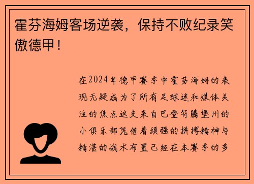 霍芬海姆客场逆袭，保持不败纪录笑傲德甲！