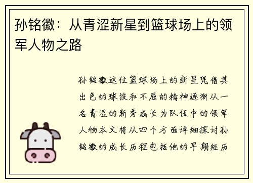 孙铭徽：从青涩新星到篮球场上的领军人物之路